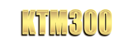 Logo KTM300